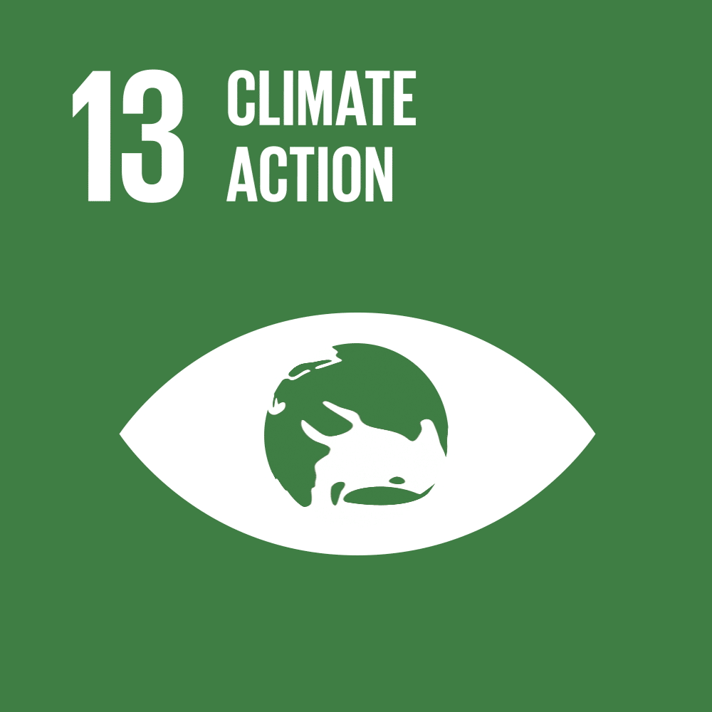 United Nations Sustainable Development Goal 13: Climate Action SDG 13: Climate Action