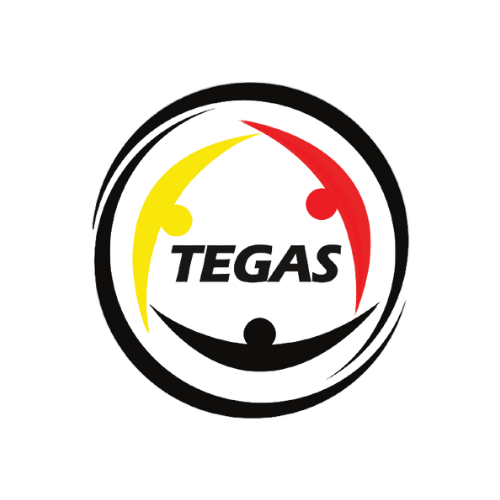 Partner Logo 6